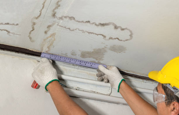 Reliable Mold Remediation contractor in Lewisburg, WV by Water Damage Irwin